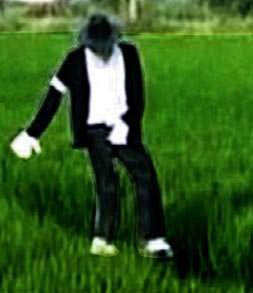 Kargaların Michael korkusu