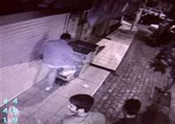 Kedi katili para cezasıyla serbest