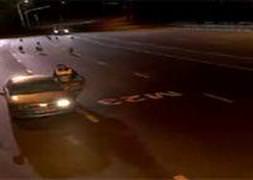 Otoyolda aç kurt sürüsü paniği