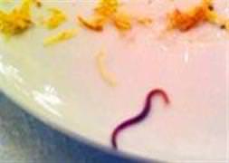 Salatadaki solucan kriz çıkardı