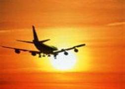 Uçak geyiğe çarptı!