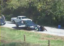 Maymun polise saldırdı!