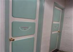 Uçağın tuvaletinde ölü bulundu