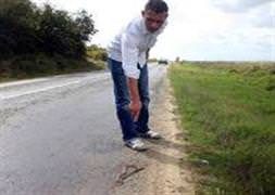 Edirne'de yılan paniği