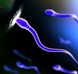 Sperm kalitesi çok düşük çıktı