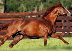 3 dakikada 300 bin dolar