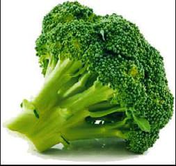 Meme kanserinin düşmanı brokoli