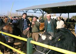 Bayram öncesi kötü haber!