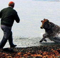 10 km koştu, 3 deniz mili yüzdü