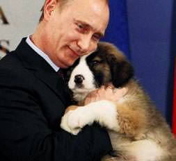 Yavru köpeğe isim aranıyor...