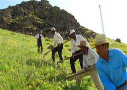 Çiftçilere iyi haber!