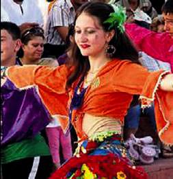 Romanlar’a tam teşekküllü site