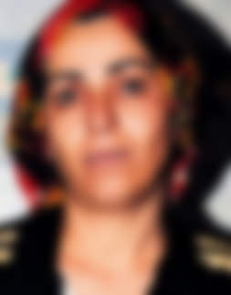 Pişkin aile aranıyor