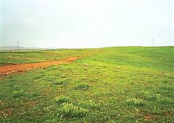 2-B arazilerinde mutlu sona yaklaşılıyor