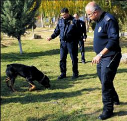 Hayvanların güvenli bahçesi