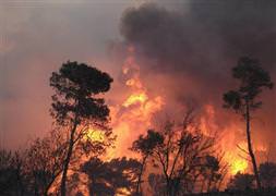 İsrail alevler içinde: 40 ölü