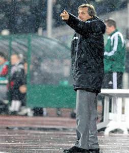 Schuster ne demek istedi