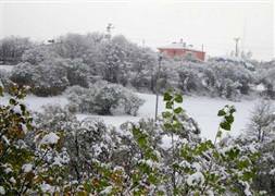 9 kişi donarak can verdi