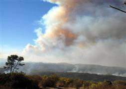 Filistin bile İsrail'e yardım etti