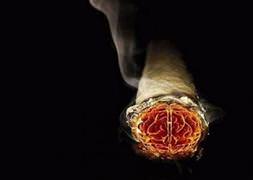 Sigara yasağında devrim