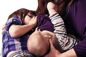 6 yaşında süt kuzusu