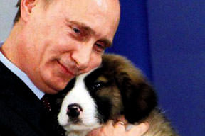 Putin’in köpeğinin adı Buffy