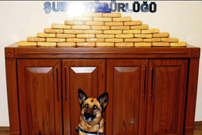 Eroin Julia'den kaçmaz