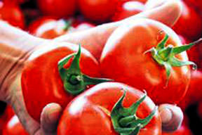 Sebze-meyveyi soğuk hava vurdu