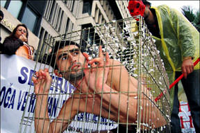 Hayvanlar için kafeste!