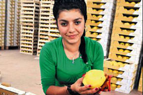 Eşme ayvası dünya pazarında