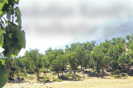 ’Avukatları Kandil’e askeri helikopter getirdi’