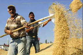 Çiftçilere kredi kolaylığı