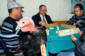 Yılbaşı hindisi okey masasında