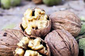 Prostata karşı balık ve ceviz