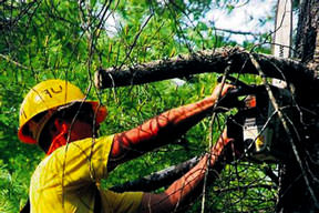 Kaç paraya mı alınacak?