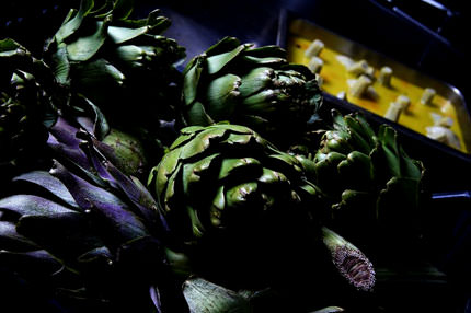 Yaprakları bile şifa dağıtıyor