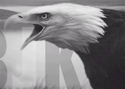 Beşiktaş'ın kaptanı belli oldu!