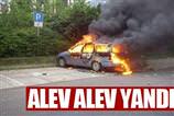 Alev alev otolar