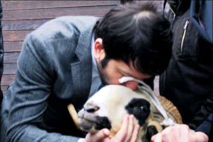 İşte benim koyunum