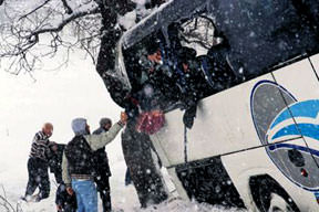 Yolcular ağaçla hayata tutundu!