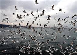 İstanbul'u 8 dakikada vuracak