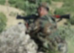 Bingöl'de 4 PKK'lı öldürüldü