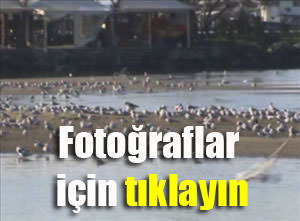 Silivri'de deniz 30 metre çekildi-1