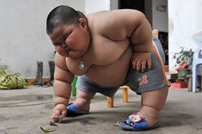 Çinliyim şişmanım!