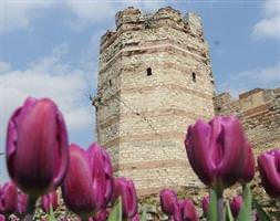 İstanbul'da lale devri