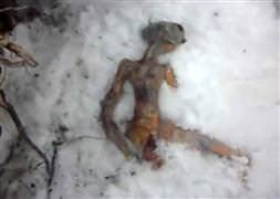 Dünyayı ayağa kaldıran görüntü!