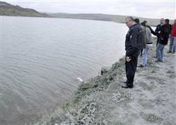 Otomobil baraja uçtu: 2 ölü