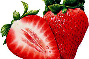 Mutfaktaki reçeteniz