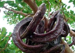 Sigaranın zararlarını azaltıyor?