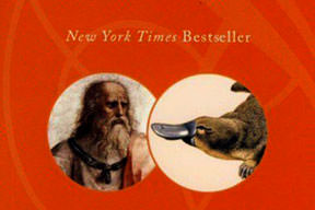 Harvard'a bak üniversiteli ol!